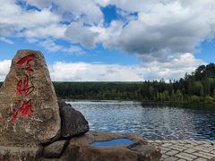 -五营红松林海景区