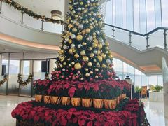 -香港九龙海逸君绰酒店