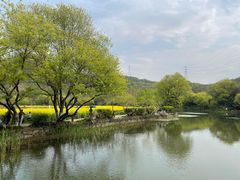 -八卦田遗址公园