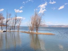 -洱海月湿地公园