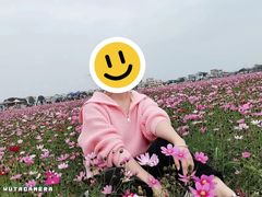 -崖口煲仔饭