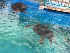 -北戴河圣蓝海洋公园