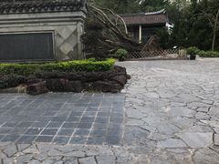 -九龙寨城公园