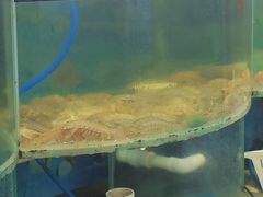 -鑫渔港海鲜本地菜·山海关浑锅(东戴河店)