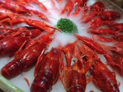 -红盔甲·小龙虾(天钥桥店)