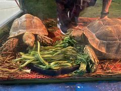 -泉州海丝野生动物世界