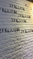 -Z.F私人订制