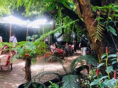 -Fern Forest Cafe