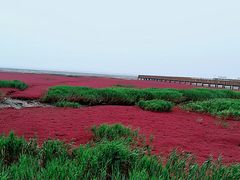 -红海滩国家风景廊道
