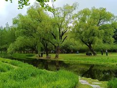 -上海共青森林公园