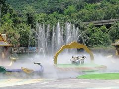 -西双版纳原始森林公园