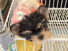 -济南高新万达广场