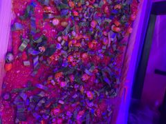 -热火朝天鲜切牛肉火锅(南强街巷店)