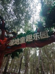 -汉石桥湿地童趣乐园