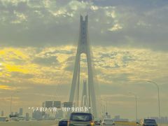 -汪记鲜鱼糊汤粉(沈阳路总店)