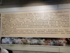 -洛阳周王城天子驾六博物馆