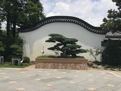 -上海植物园-4号门售票处