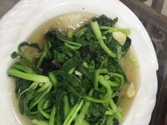 石耳菜心-徽州美食(三十年老店)