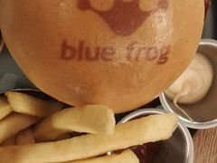 -bluefrog蓝蛙(新三里屯太古里店)