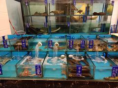 -汇景海鲜店