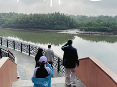 -东寨港红树林旅游区