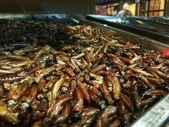 -昆虫窝子·特色云南菜(拓东路总店)