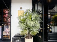 -月芽·自由餐厅·西溪湿地餐厅