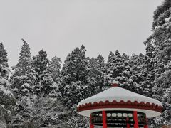-庐山风景区花径公园