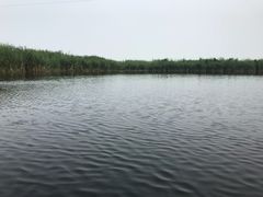 -白洋淀景区