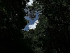 -王顺山国家森林公园