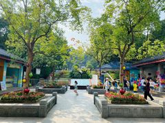 -杭州少年儿童公园