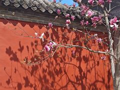 -红螺寺