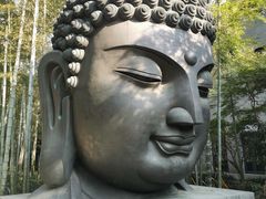 -杭州植物园