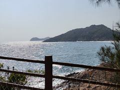 -广东惠东海龟国家级自然保护区