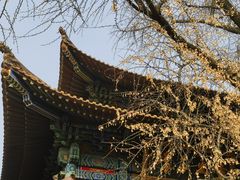 -宝通禅寺