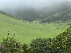 -大姆山草场