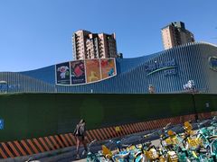 -凯德MALL(望京店)