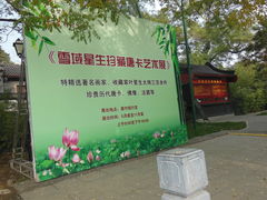 -紫竹院公园冰场