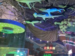 -烟台海昌鲸鲨海洋公园