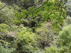 -藏龙百瀑风景区