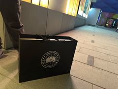 -Canada Goose加拿大鹅(北京三里屯太古里店)