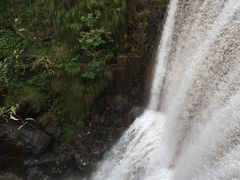 -祁门牯牛降观音堂风景区