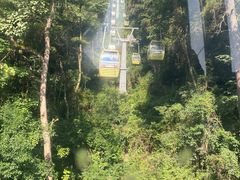 -黔灵山公园