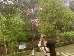 -神光山国家森林公园