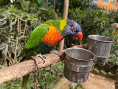 -南宫五洲植物乐园