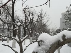 -木塔寺遗址生态公园