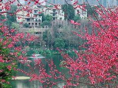 -重庆彩云湖湿地公园