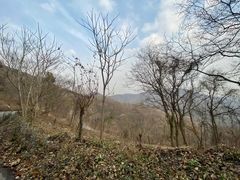 -南京老山国家森林公园