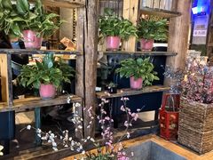 -老灶堂文创火锅(文艺路店)