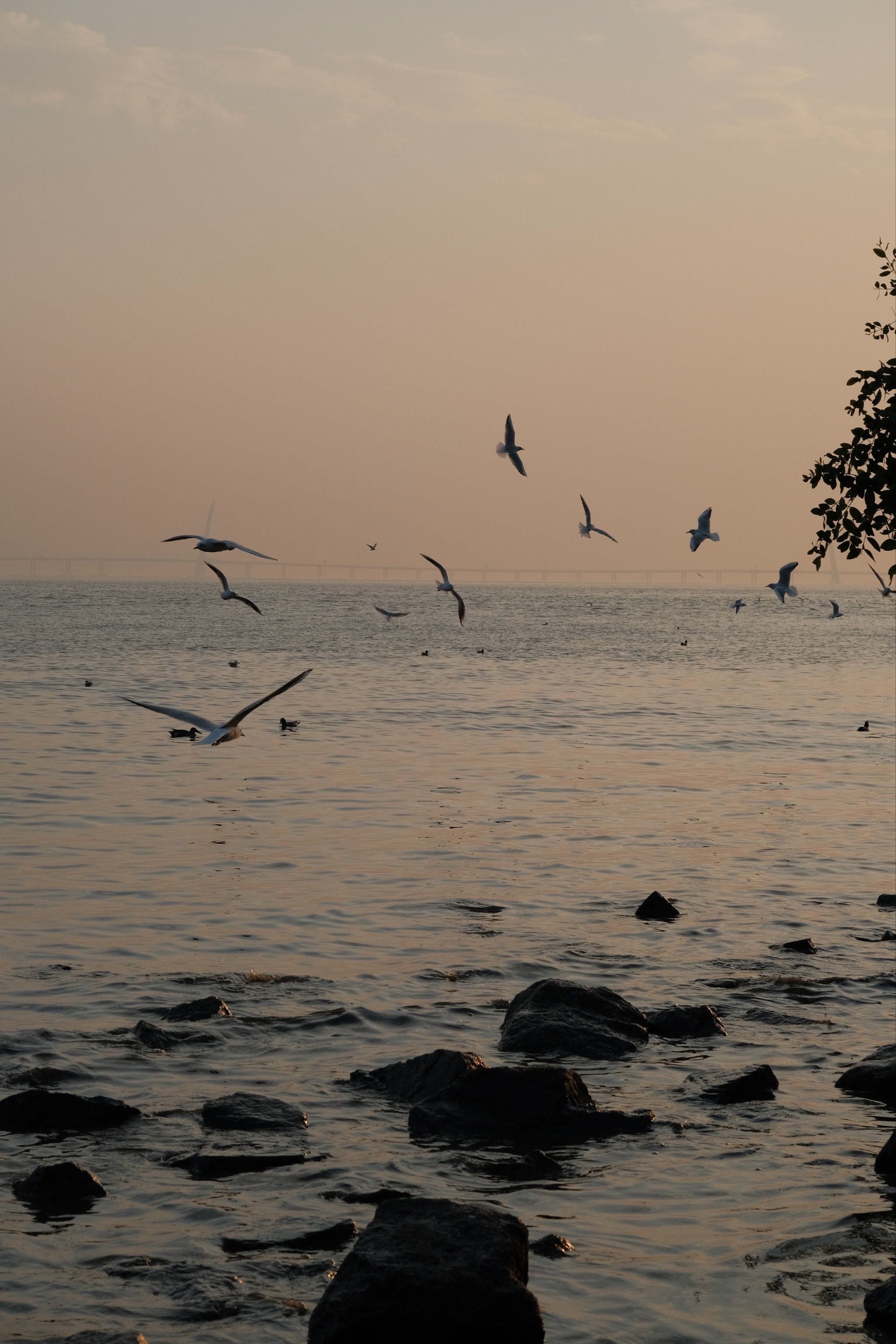海鸥与天空,我与远方